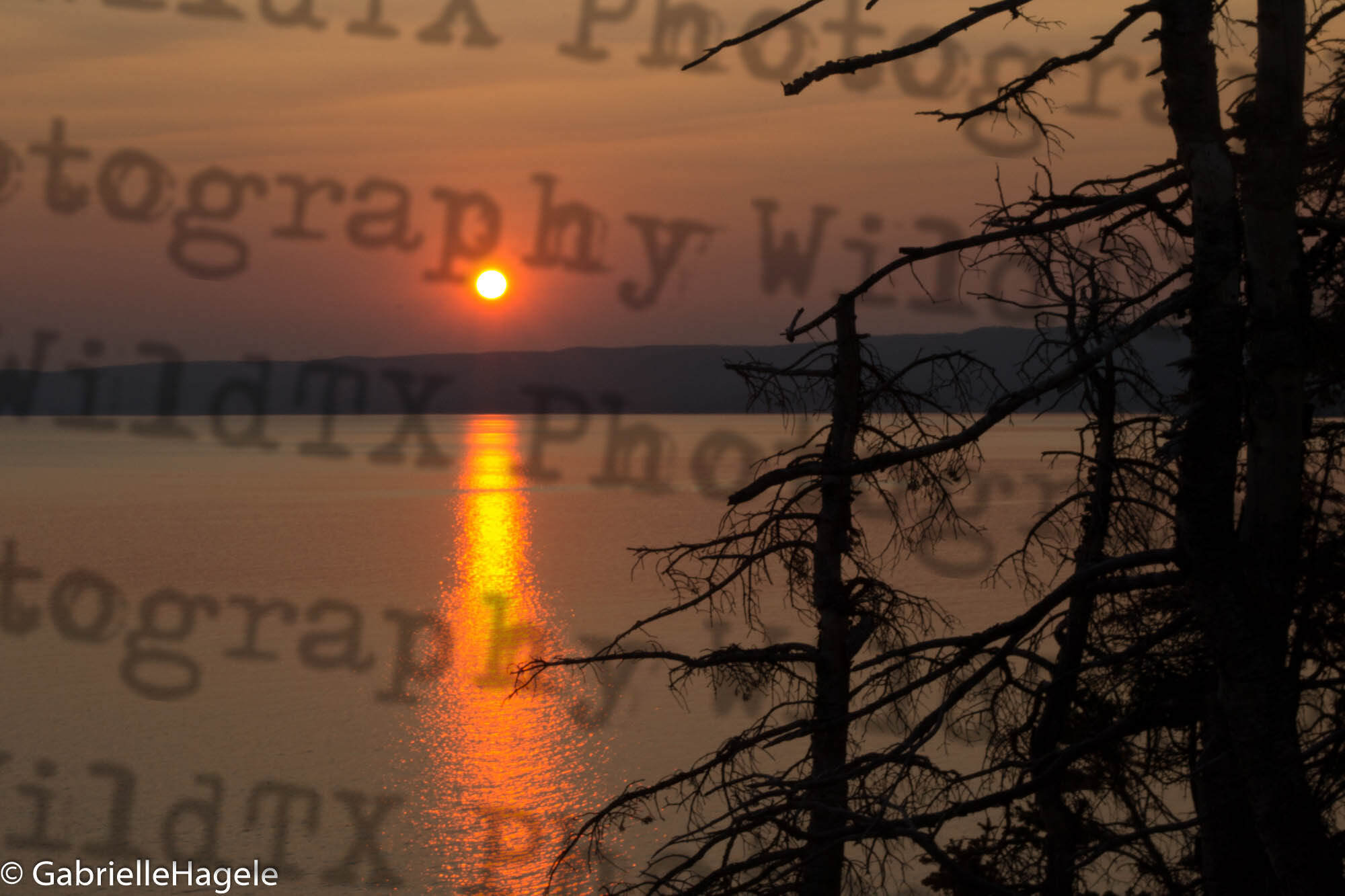 Sunset over a lake in Yellowstone with silhouetted trees in the foreground