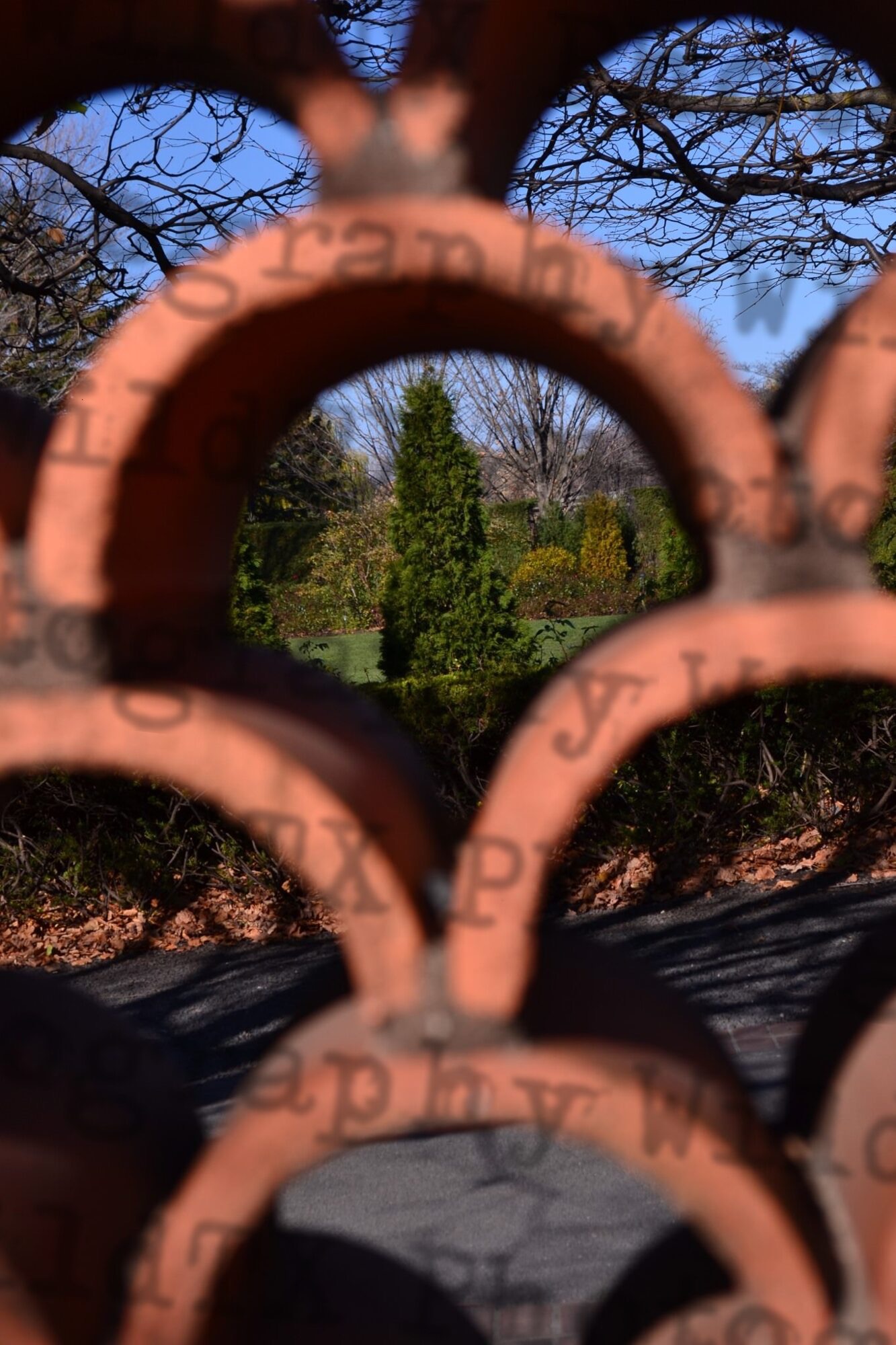 View through ornate rusty iron fence rings looking into a lush green garden