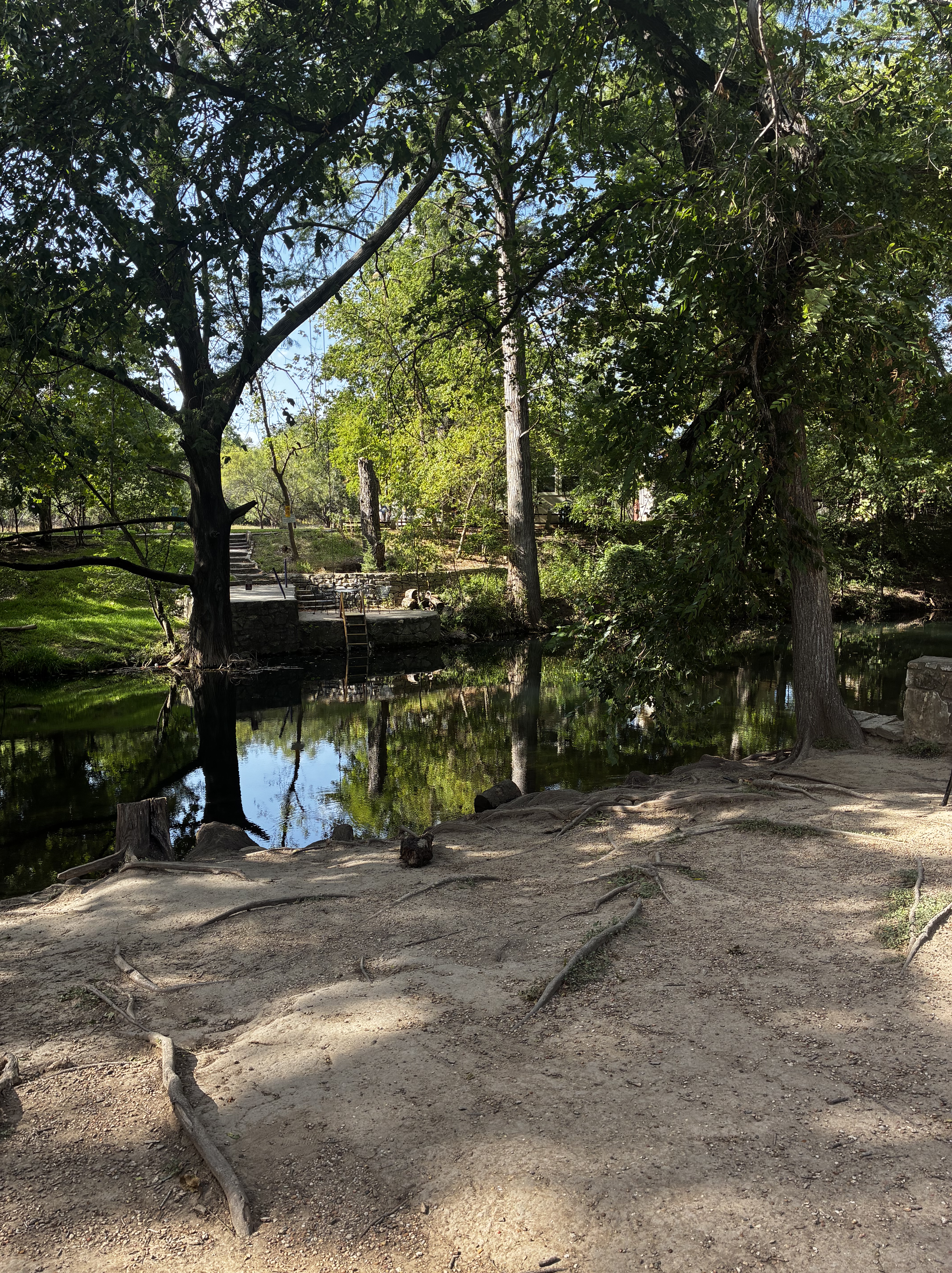 Swimming Hole in Wimberley, TX