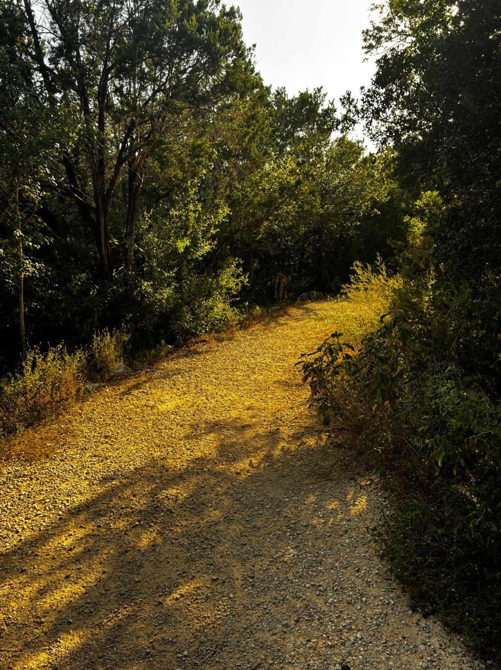 Savoring the Last Days of Summer